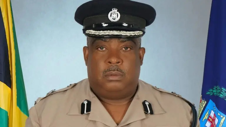 DCP Richard Stewart to replace Fitz Bailey as head of JCF Crime and Security Portfolio