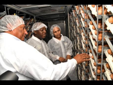 Christopher Levy (left), group president and CEO of Jamaica Broilers Group, and Lori Ann Thwaites, hatchery manager, show Pearnel Charles Jr (centre), minister of agriculture and fisheries, eggs during the Jamaica Broilers/Best Dressed Chicken hatchery launch and tour at Jamaica Broilers Group in Cumberland, St Catherine, yesterday.