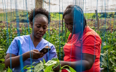 Breaking Ground: Nurturing Female Leadership in Jamaican Agriculture and Beyond
