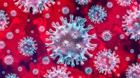Jamaica Now has 47 confirmed Coronavirus cases