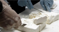Three Men Nabbed in Cocaine Bust